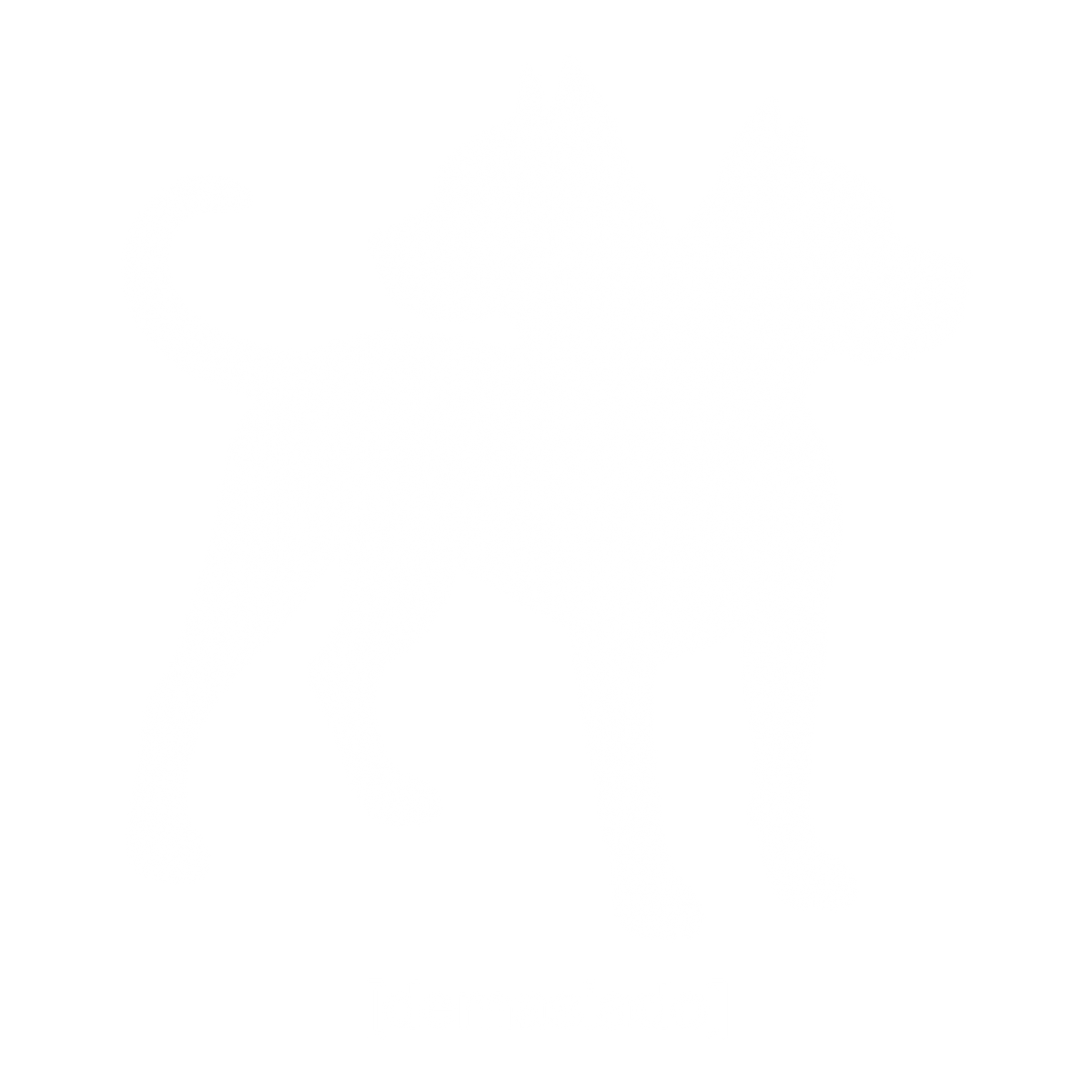 DEMASIADO